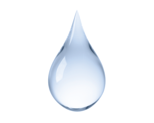 Natural Moisturizing Factor (NMF)