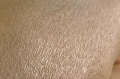 Tan Opal