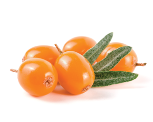 Sea buckthorn oil