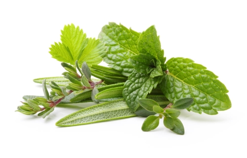 7herbs-kompleks.jpg