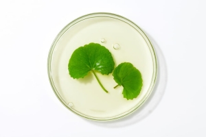 Byelines – kompleks przeciwstarzeniowy (centella asiatica, skrzyp, oczar, cytryna, chmiel, sosna, rozmaryn, szałwia)   